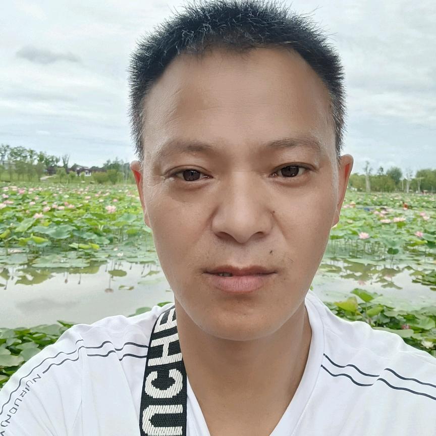 金苹果user5942403662485