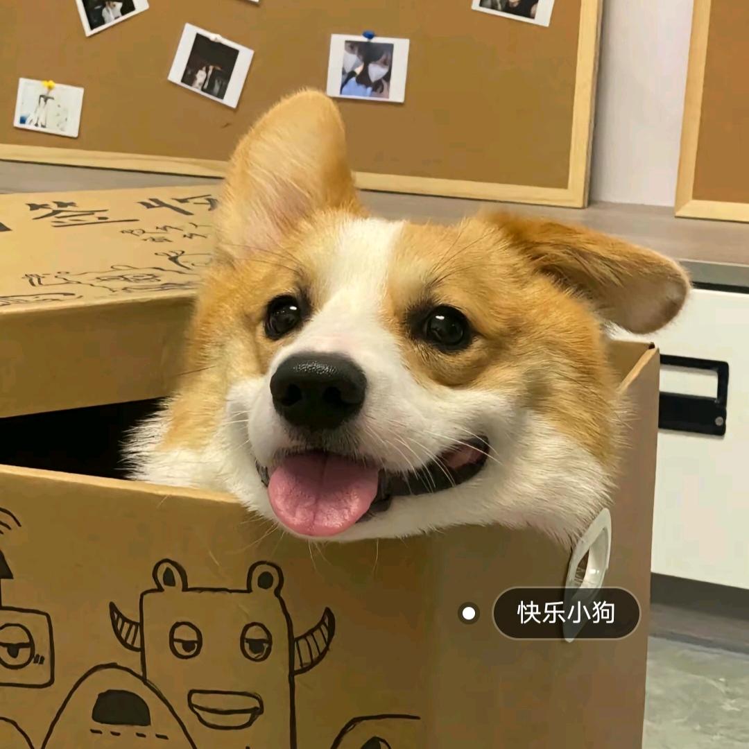 梦是甜的