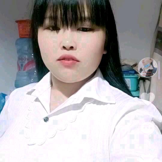 看淡一切（禾白小三票）