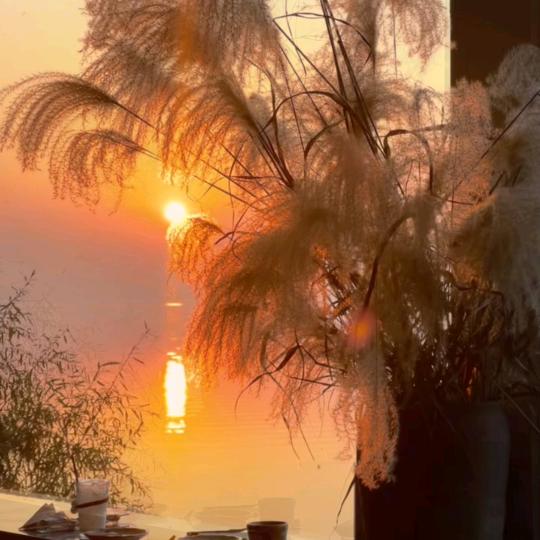 ℳℒℴѵℯ·乌梅子酱