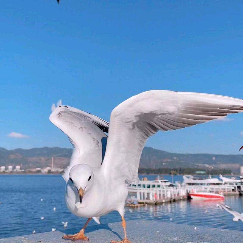 领悟