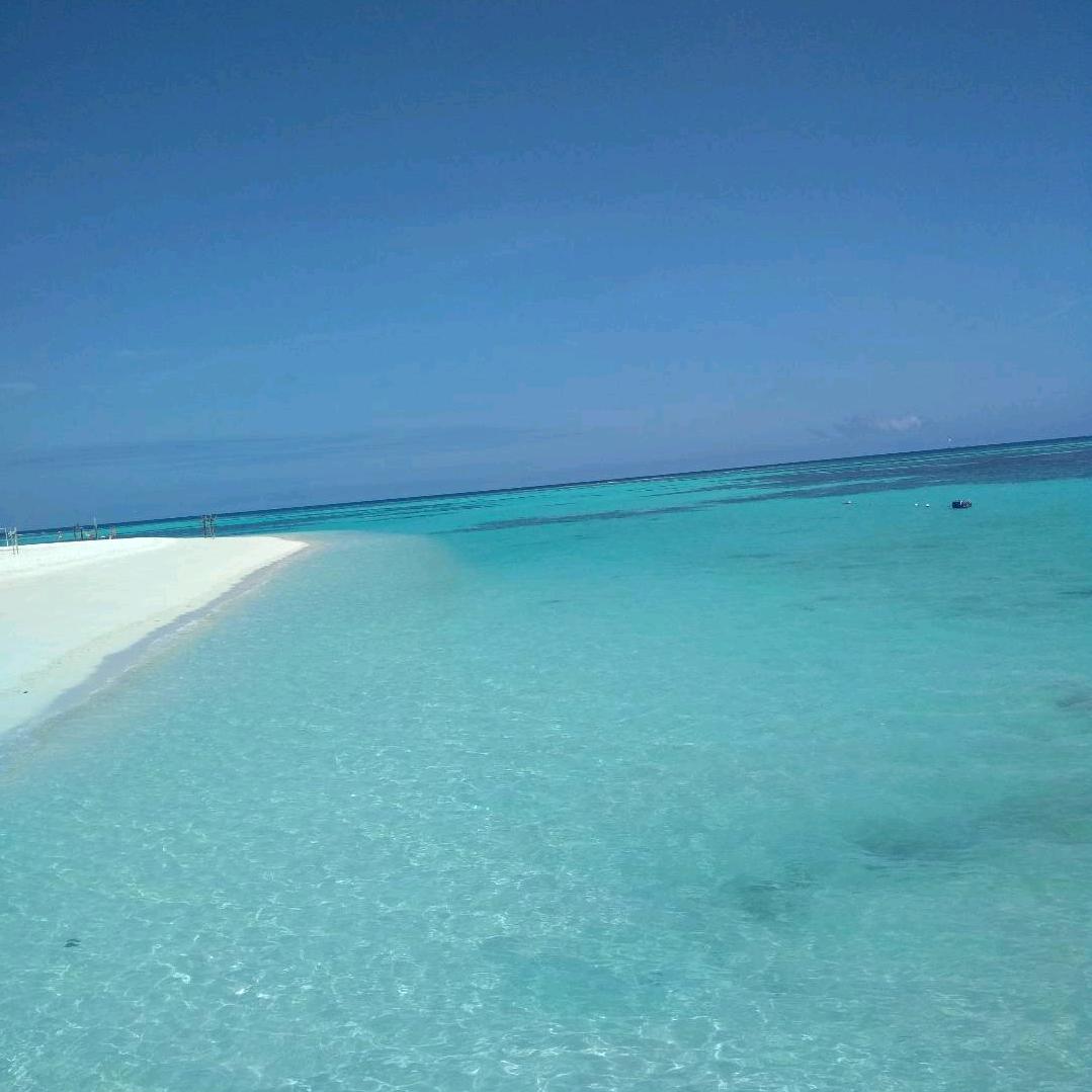 爱睡懒觉的懒虫