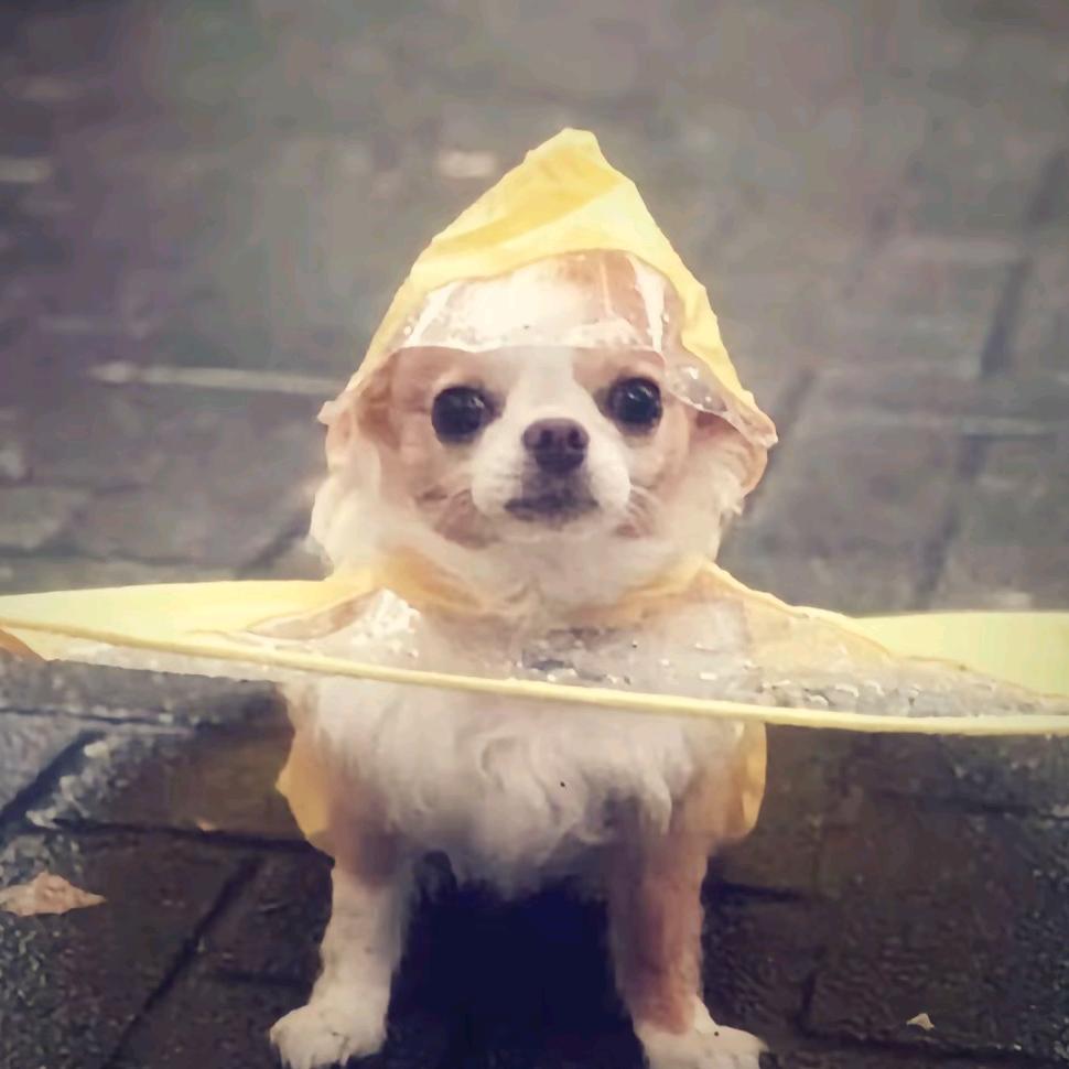 分秒必争