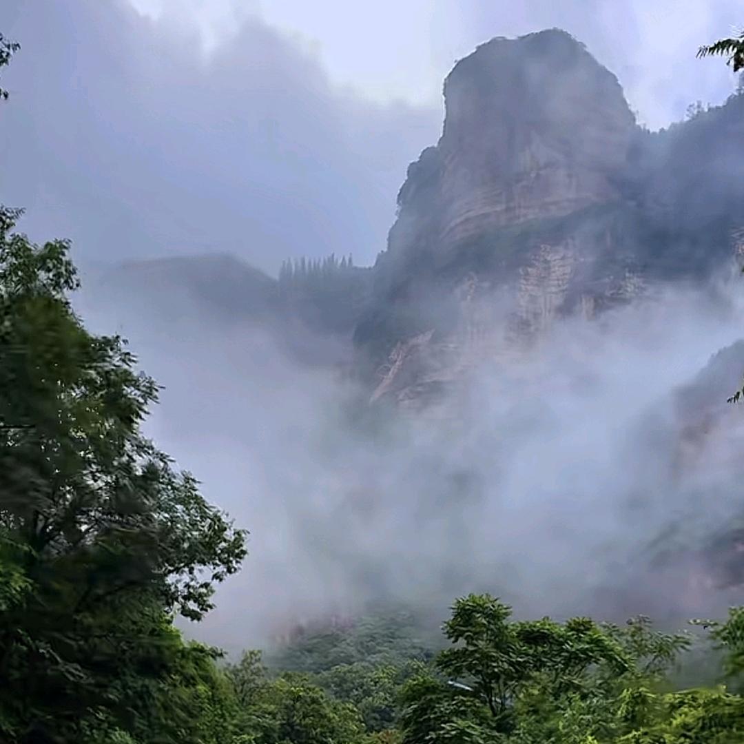 音乐爱好者