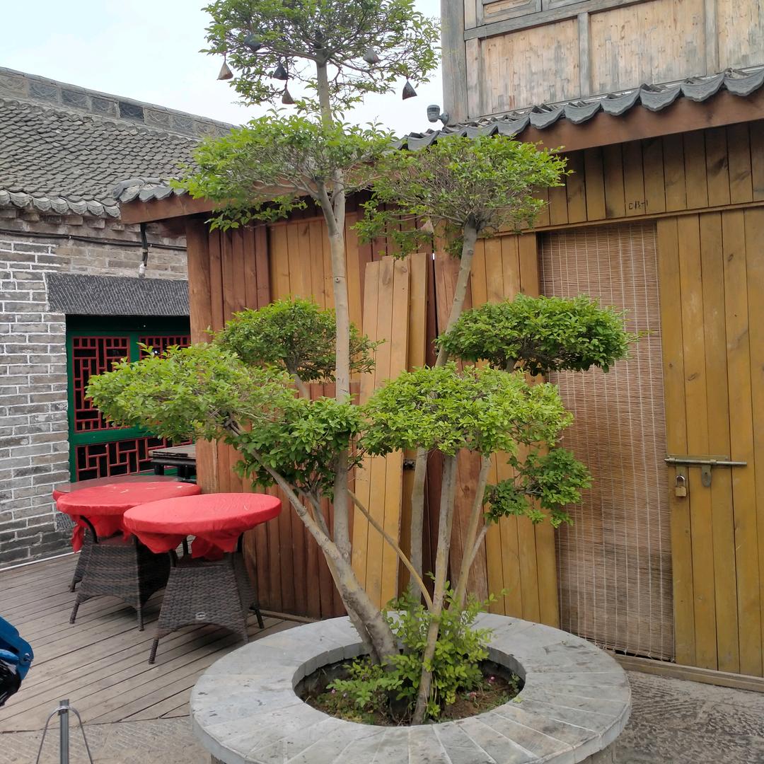 海阔天空