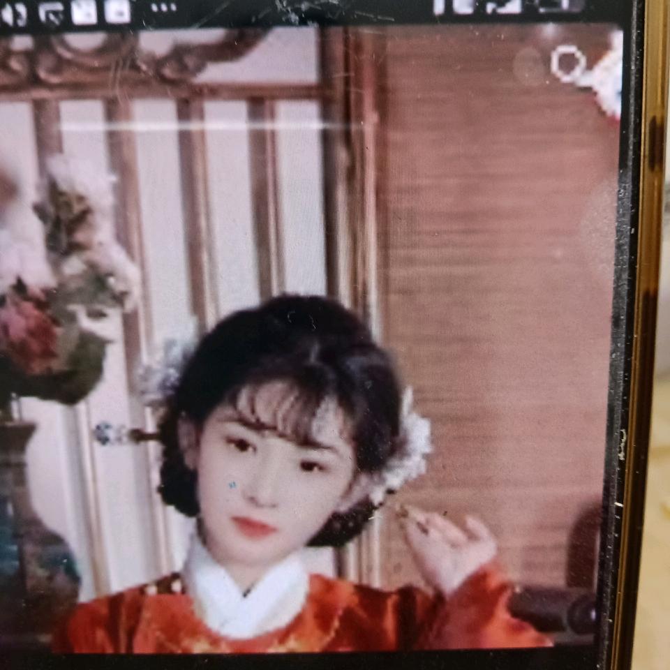 伊网情深
