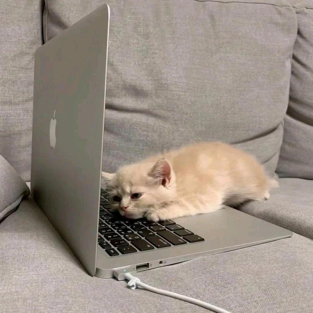 晚自习