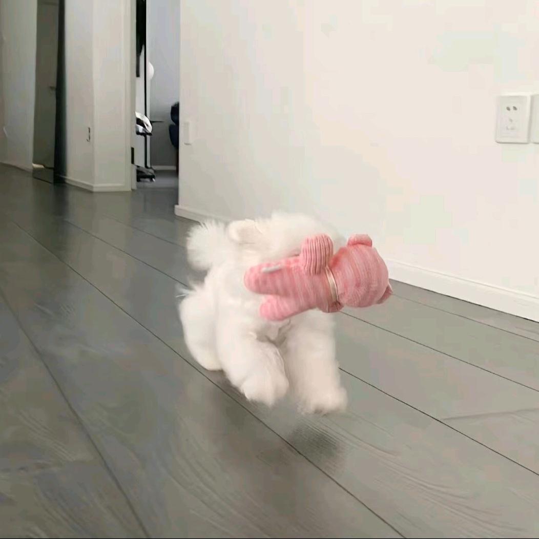 鱼水
