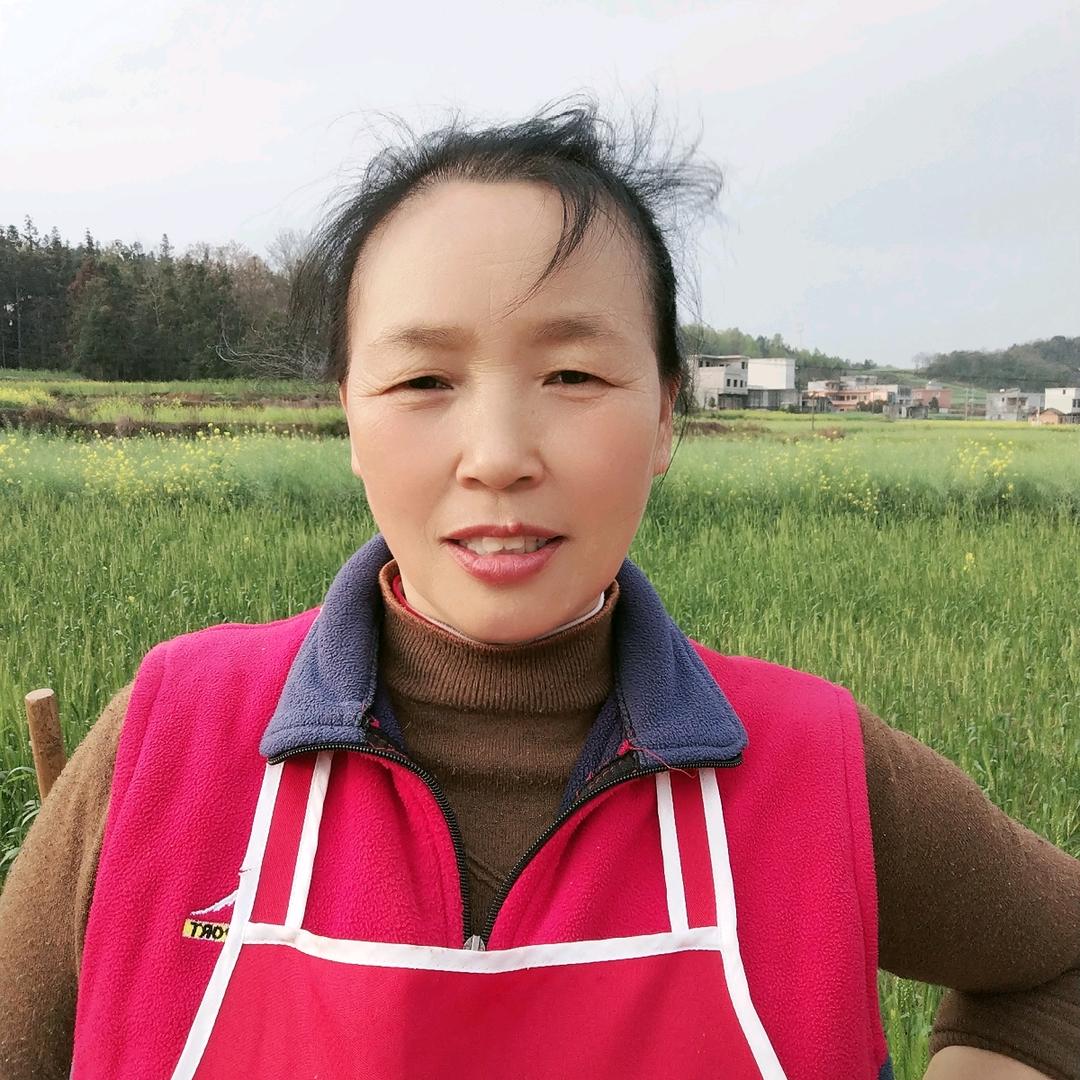 春暖花开