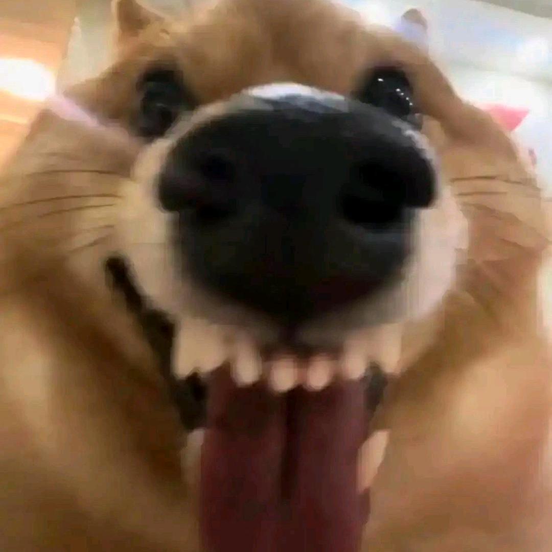 旭旭（暗区突围无限）