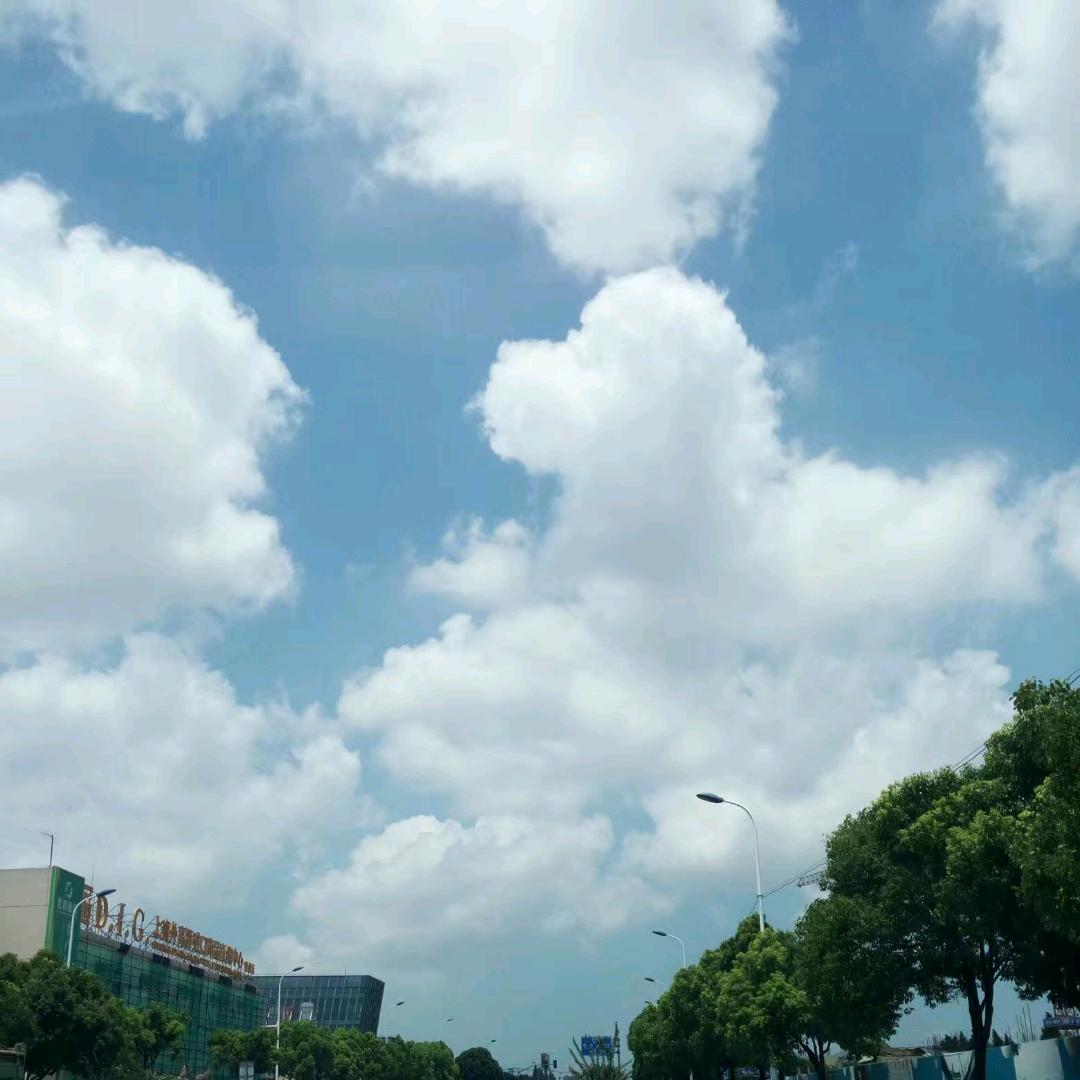 大熊鲜生
