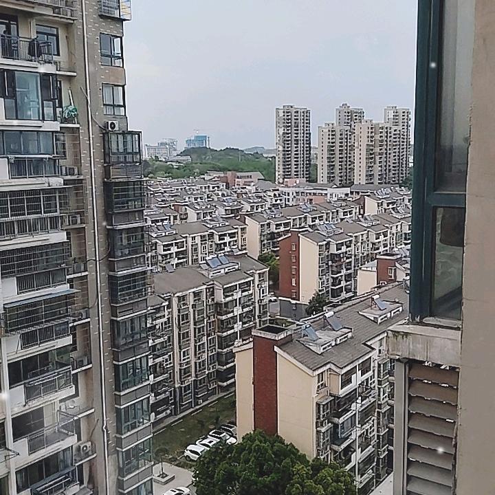 18555338853