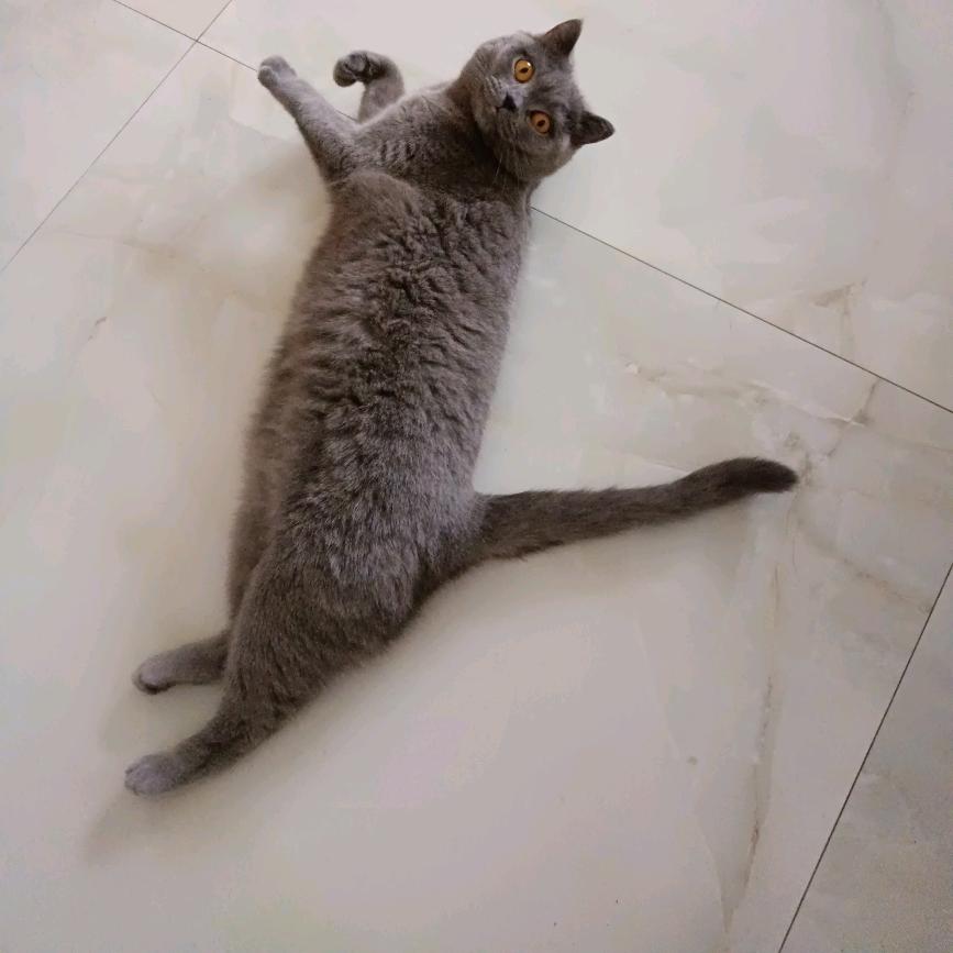˃ʍ˂鼓捣灬猫腻🐂🍺