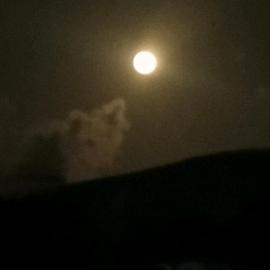 陈阡