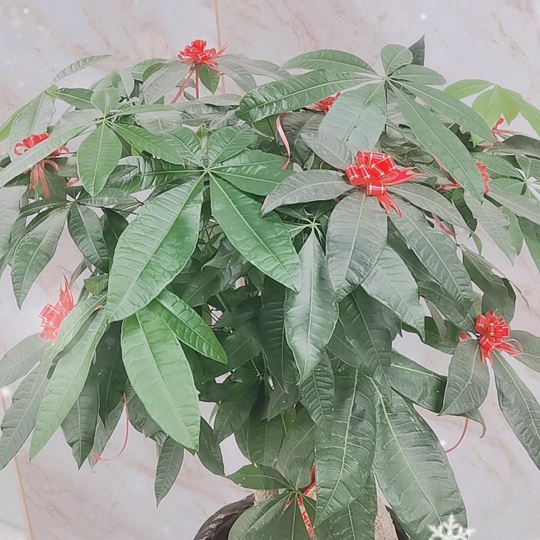 辉雄特好物分享