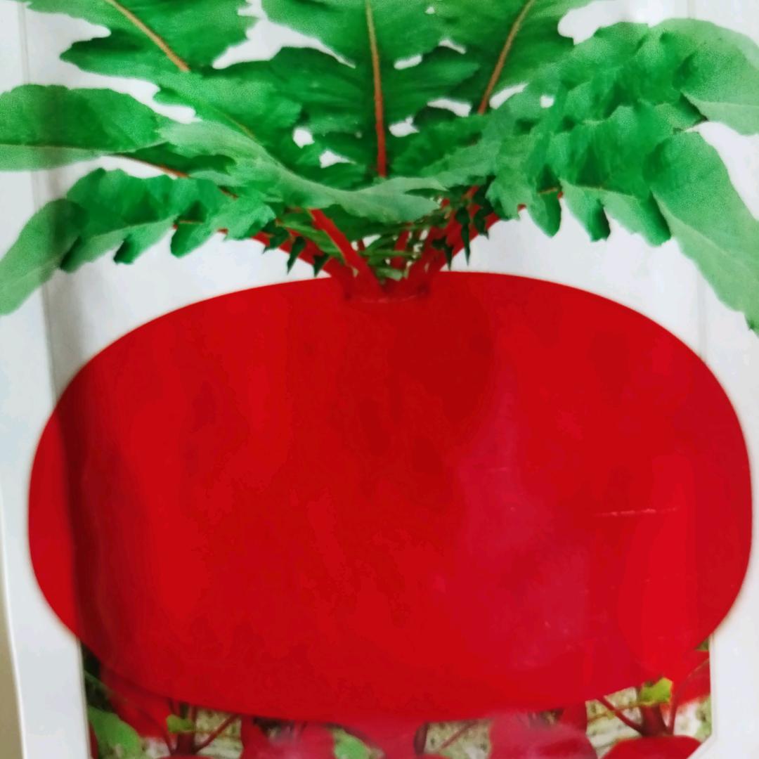 锐锐