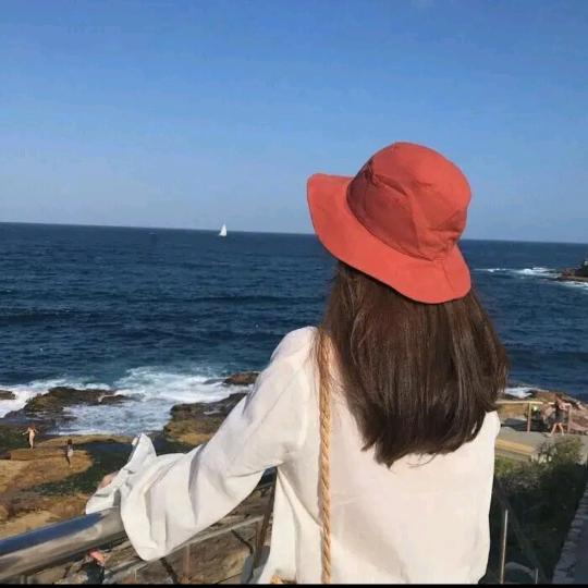 星辰大海🌴●﹏●🌴