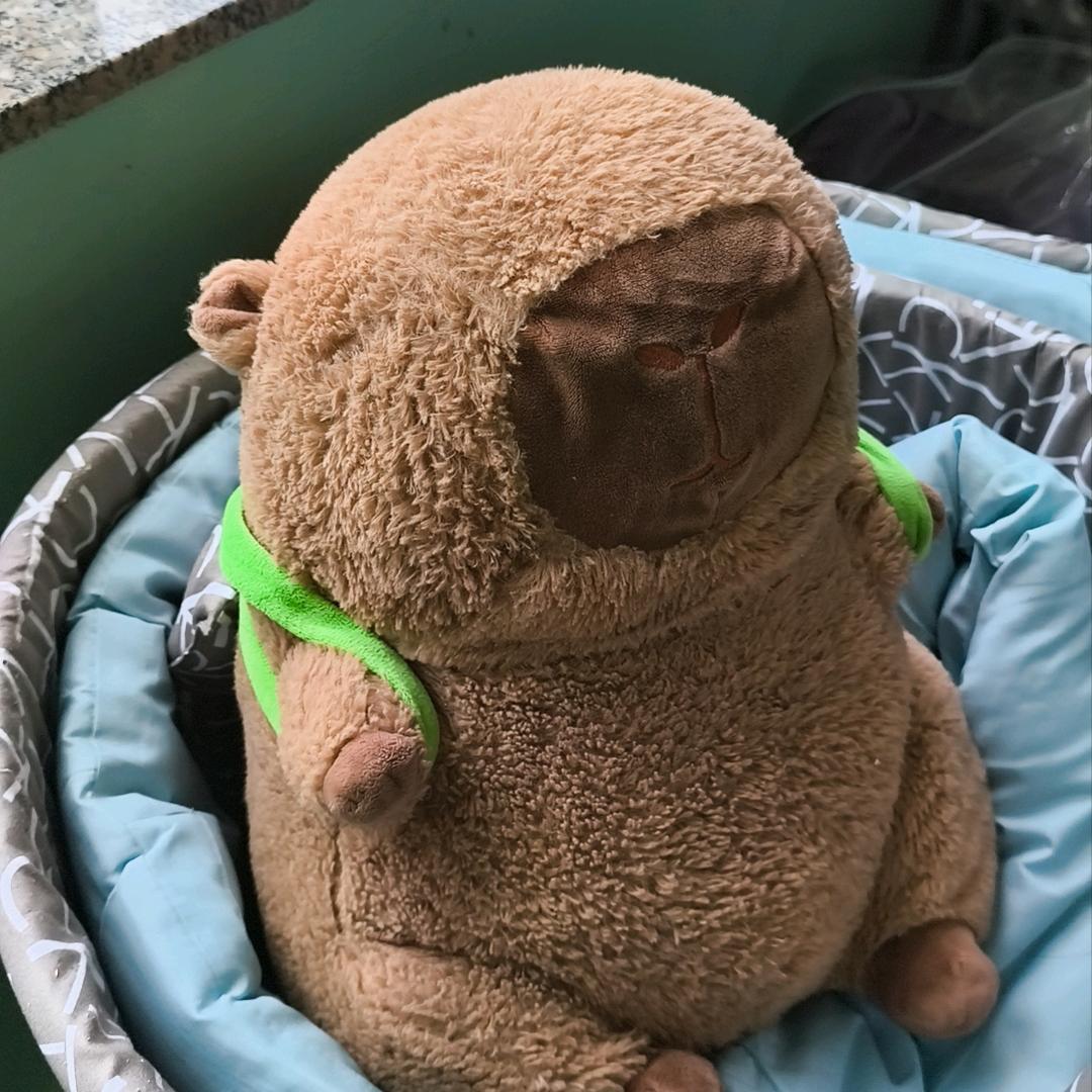 汉堡（见过王扁版）