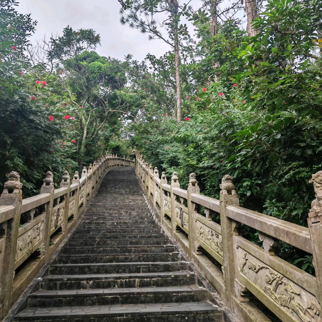 精一