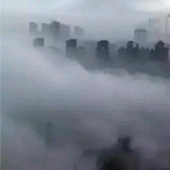 雾中狙击手