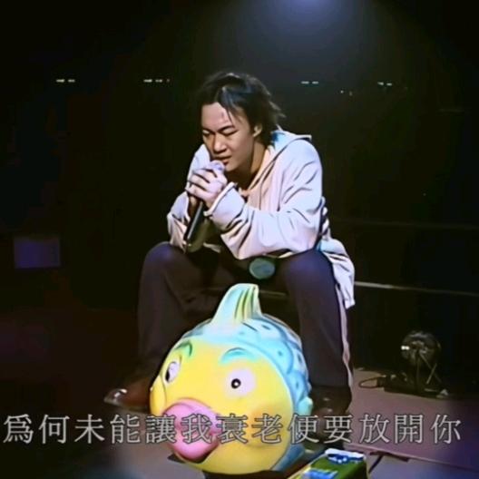 温柔老猫