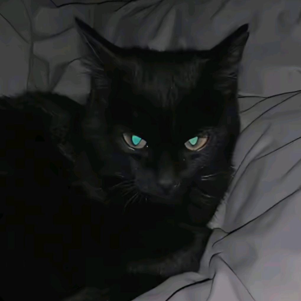 Heimi