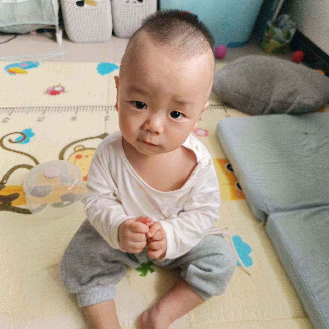 佳晨乐乐