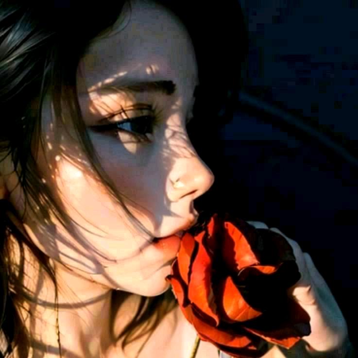 粉色的猪头小熊