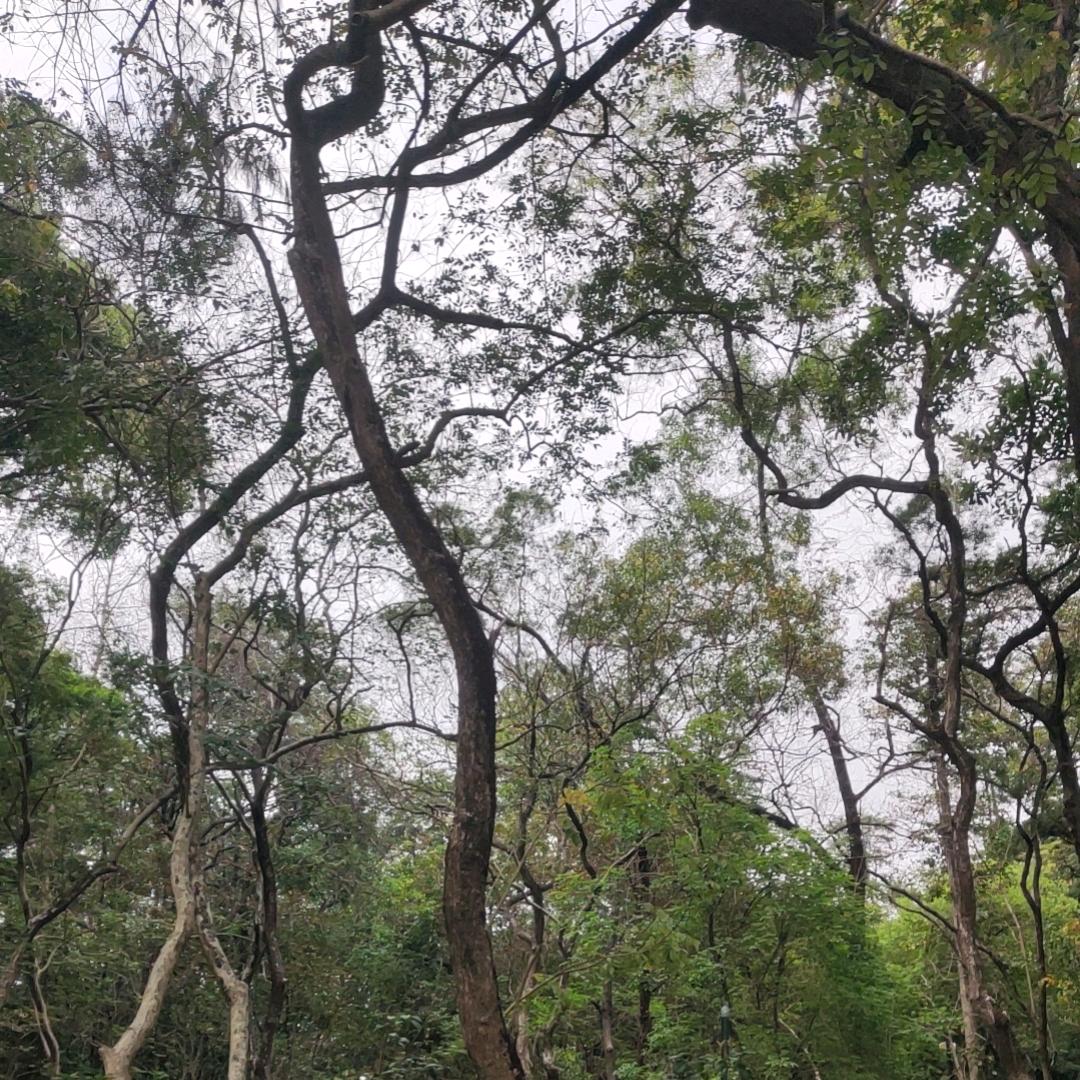 院线美妆优品店