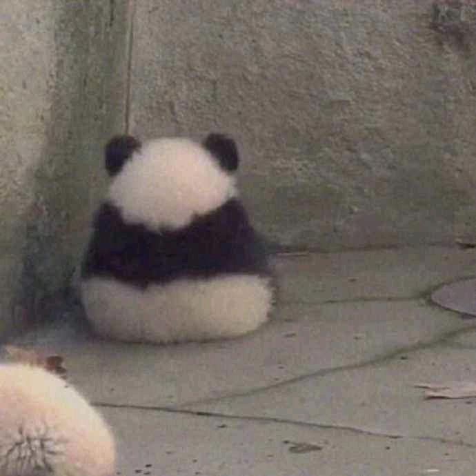 终夜