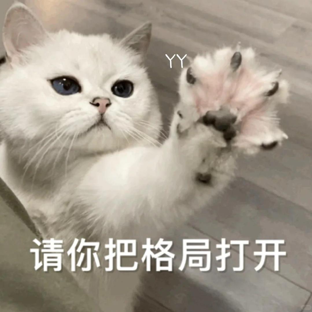 格局打开