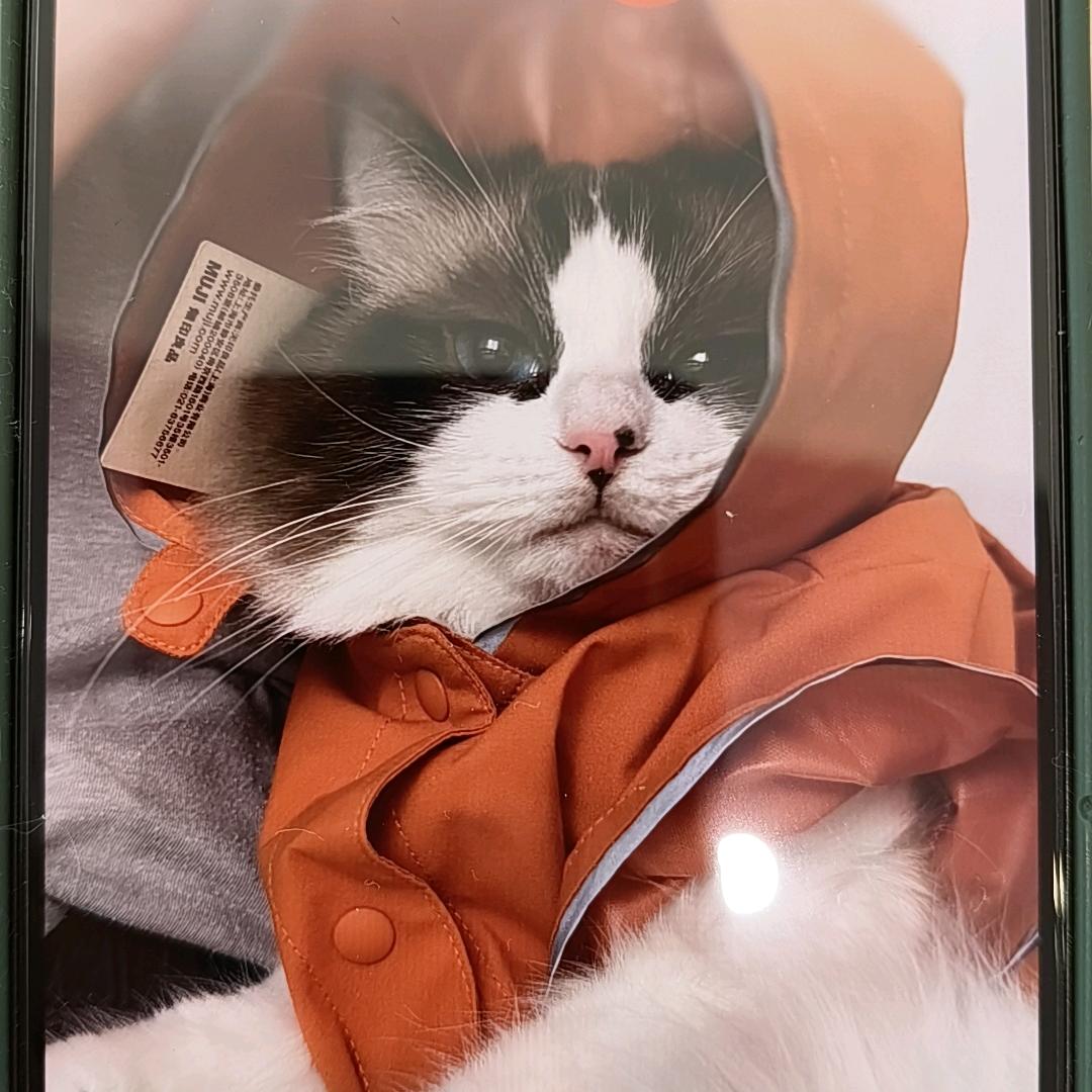 来买一台小乐道