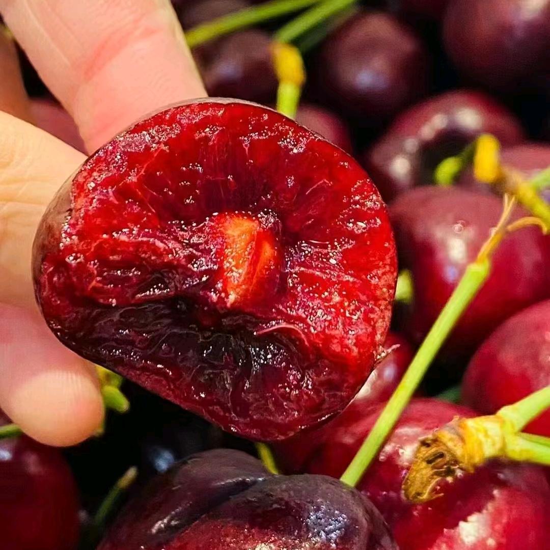 攀果地朱朱（西充安汉广场店）