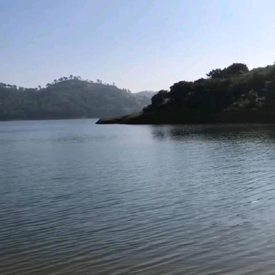 阿海