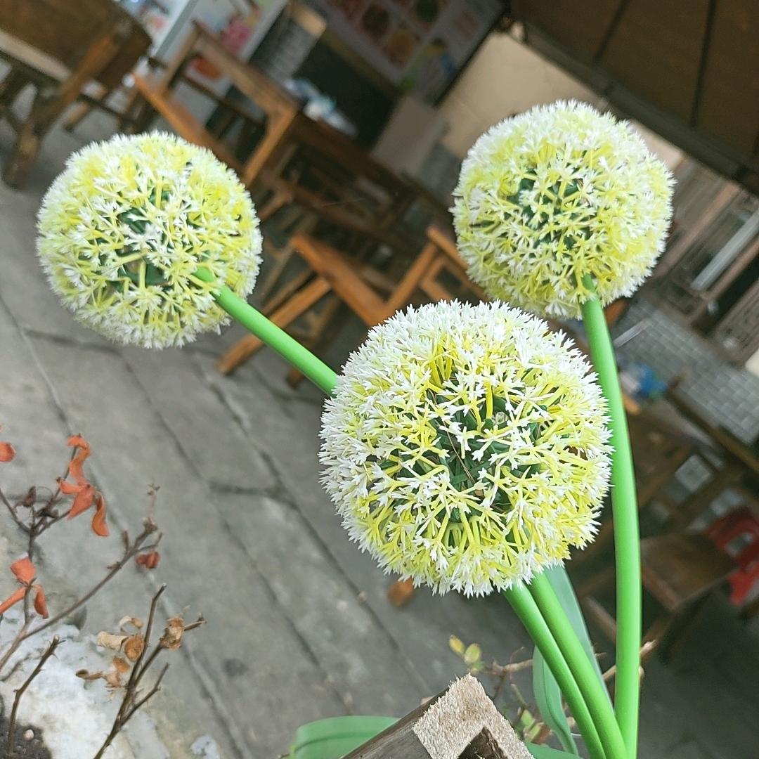 এ᭄   执念  ꦿృ༊