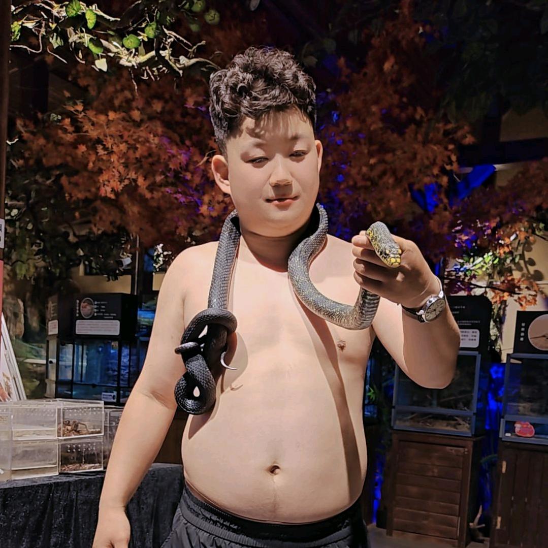 陕西黑娃 小胖子