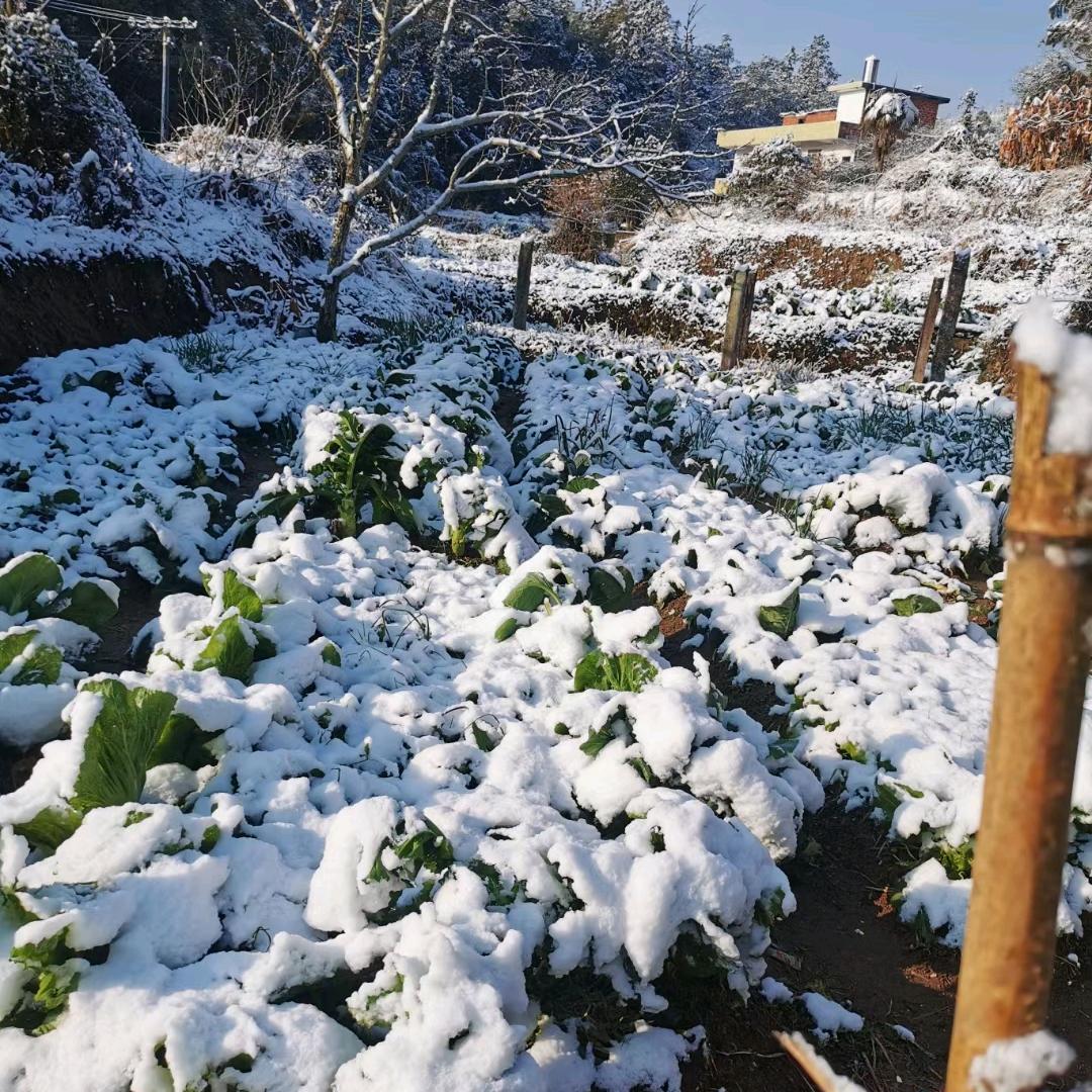 平安..喜乐...安