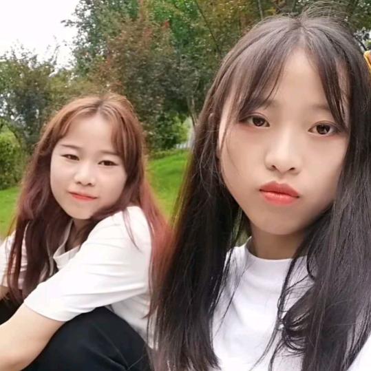 @芝