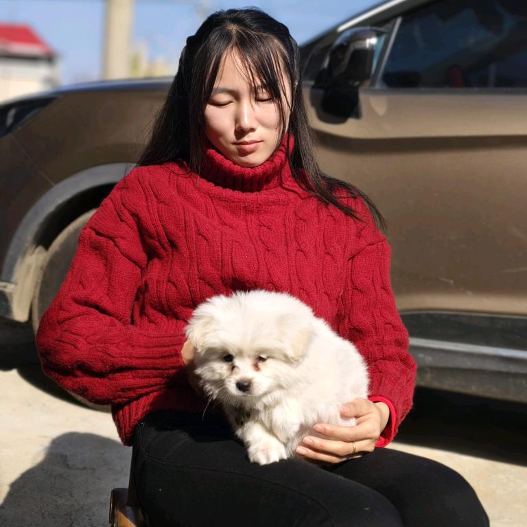 小姐姐