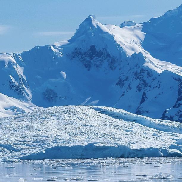 廿十一个由八八 黄