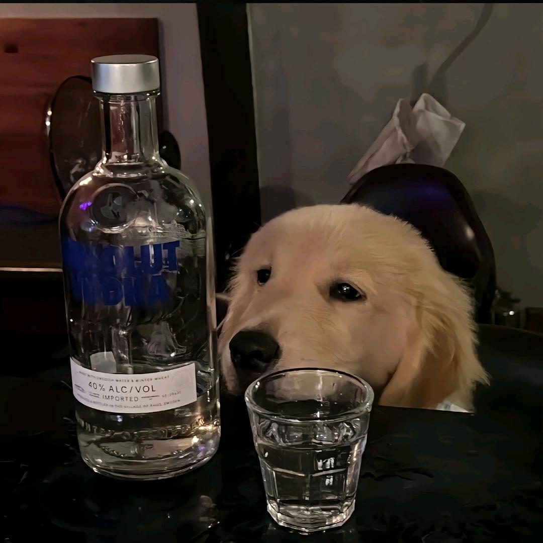 浅陌