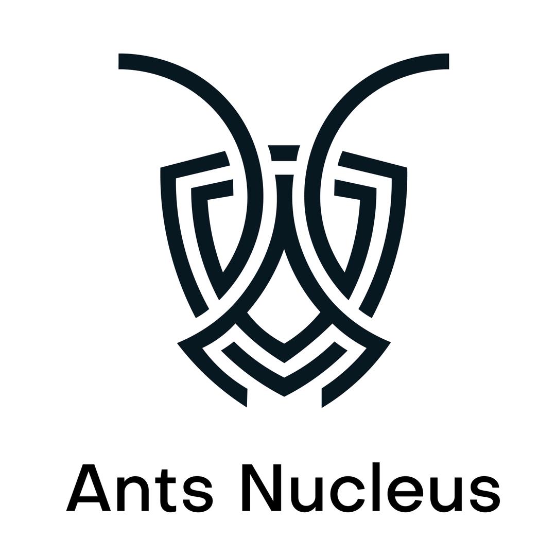 蚁核ANS