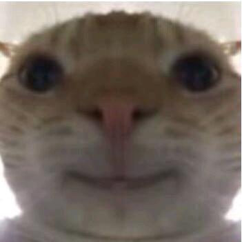 俭条