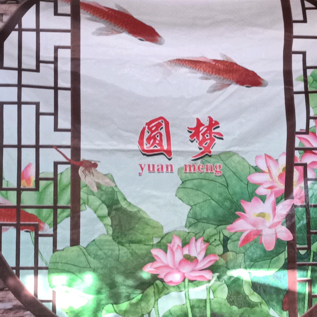 戏迷之恋