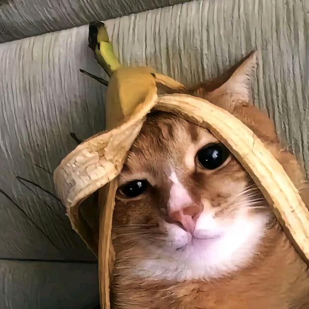 吃啥啊，给我来俩口