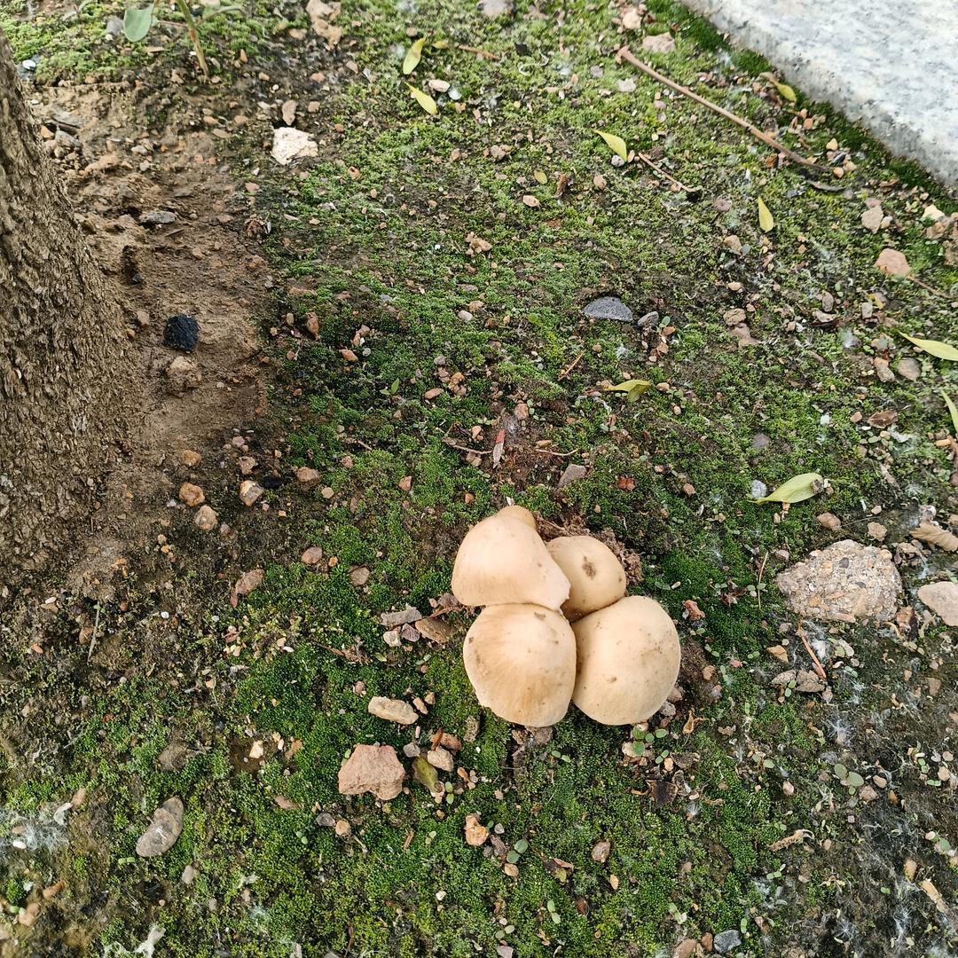 但行好事，莫问前程