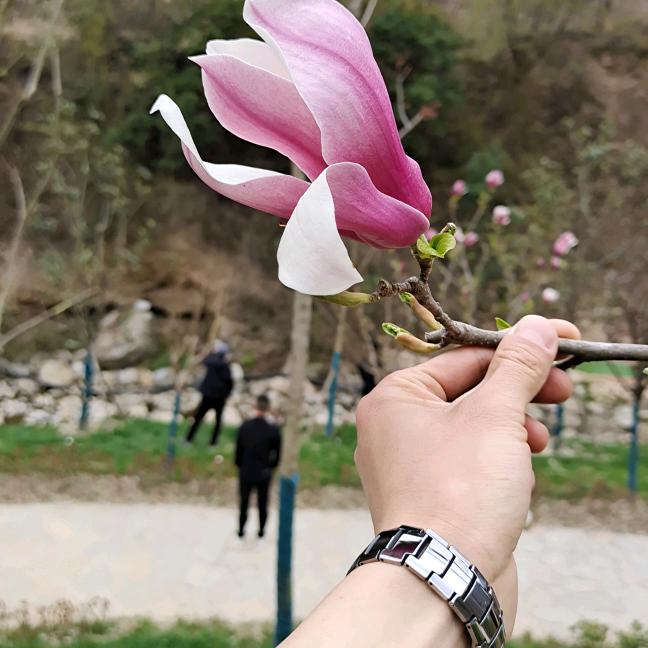 凡夫俗子