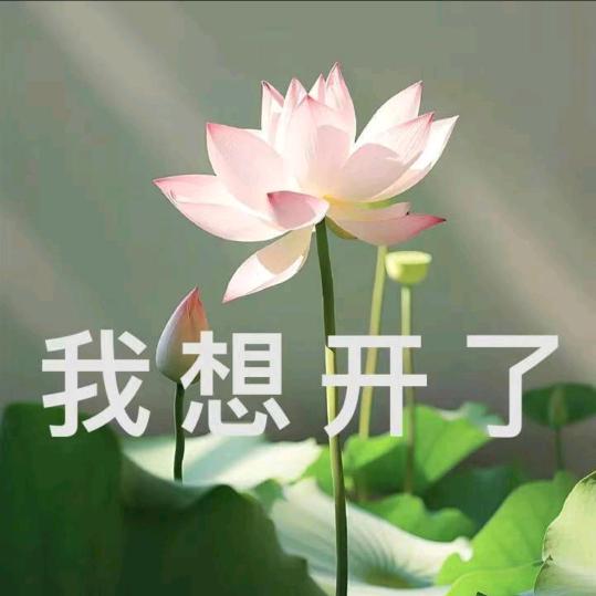 心🌻雨