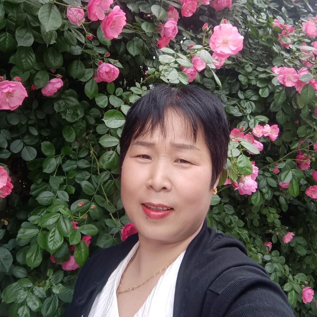 我是风儿