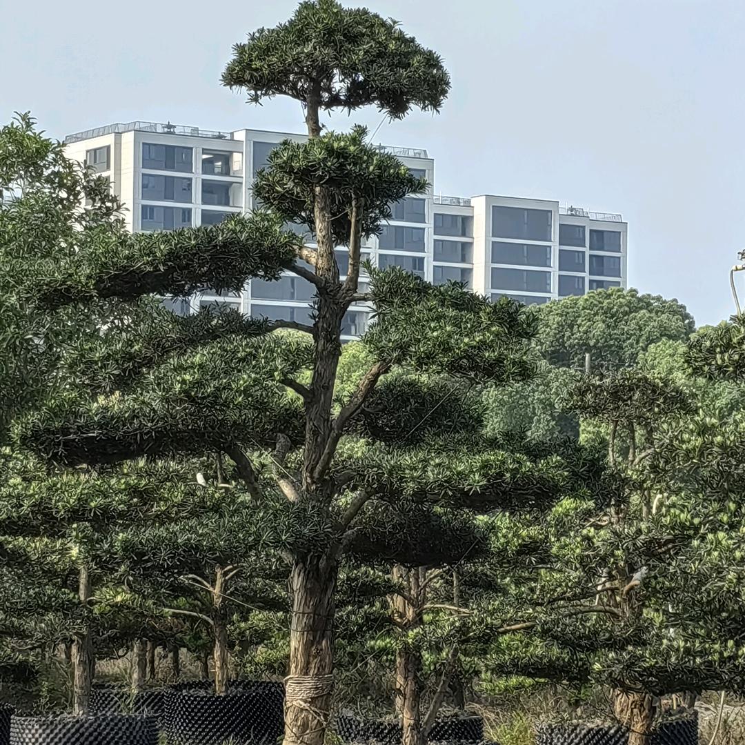 合作共赢。
